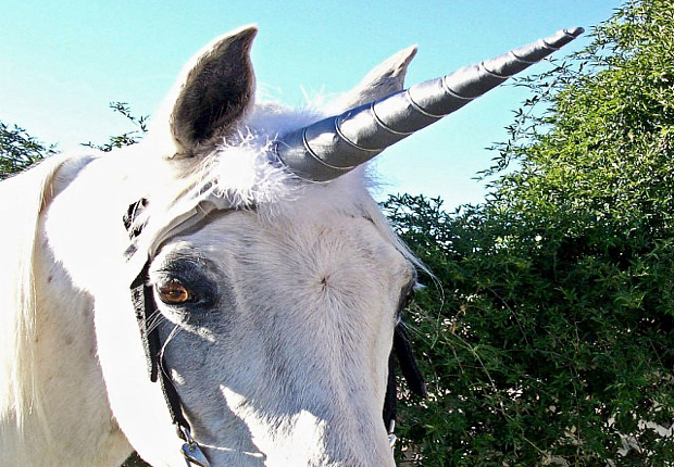Unicorn Horn Horse Attachment
