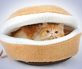 Burger Cat Bed