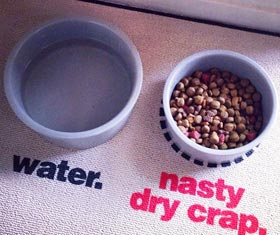 Nasty Pet Food Mat