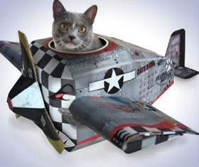 Airplane Cat Playhouse