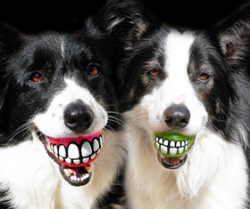 Smiling Teeth Dog Ball