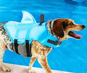 Shark Fin Swim Vest